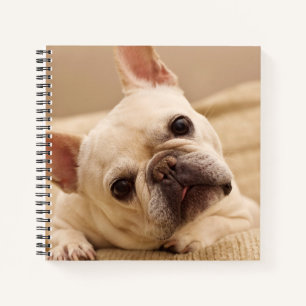 Cutest Baby Animals   French Bulldog Head Tilt Notebook