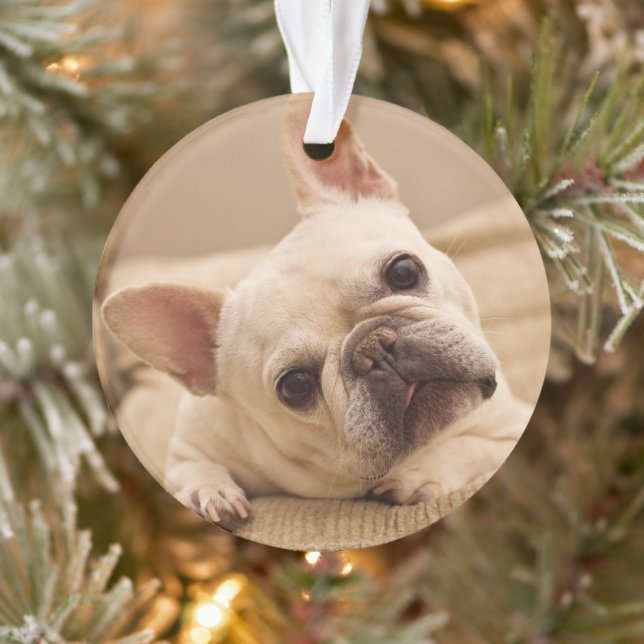 Cutest Baby Animals | French Bulldog Head Tilt Ornament (Tree)