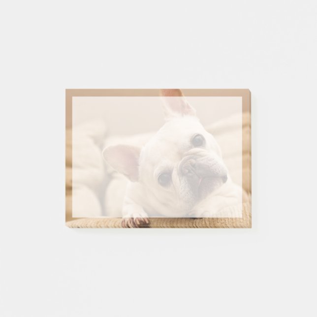 Cutest Baby Animals | French Bulldog Head Tilt Post-it Notes (Front)