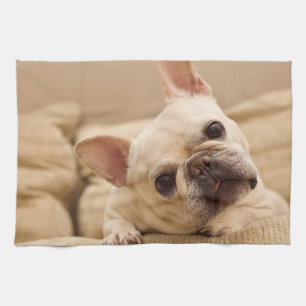 Cutest Baby Animals   French Bulldog Head Tilt Tea Towel