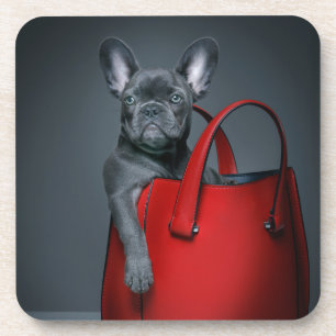 Cutest Baby Animals French Bulldog in Handbag Coaster