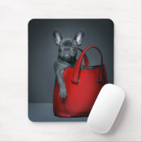 Cutest Baby Animals | French Bulldog in Handbag