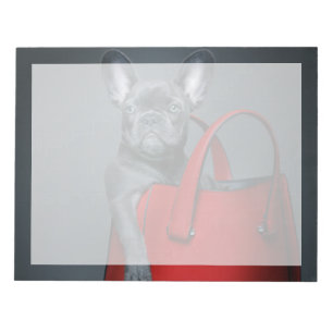 Cutest Baby Animals   French Bulldog in Handbag Notepad