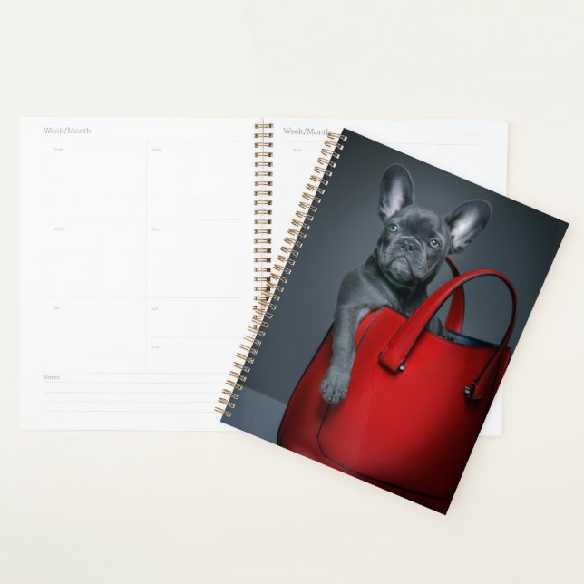 Cutest Baby Animals | French Bulldog in Handbag Planner (Display)