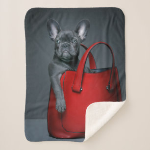 Cutest Baby Animals   French Bulldog in Handbag Sherpa Blanket