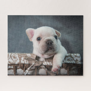 Cutest Baby Animals French Bulldog Jigsaw Puzzle
