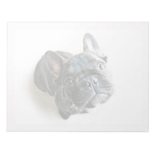 Cutest Baby Animals French Bulldog Look Up Notepad
