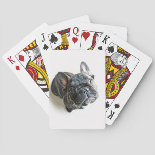 Cutest Baby Animals French Bulldog Look Up Playing Cards