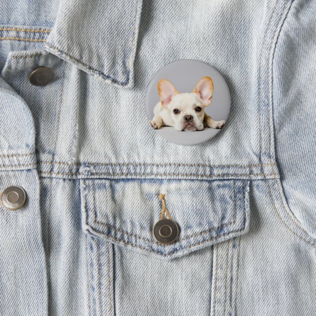 Cutest Baby Animals | French Bulldog Lying Down 6 Cm Round Badge (In Situ)