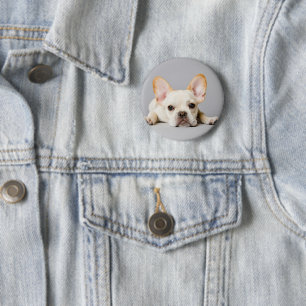 Cutest Baby Animals French Bulldog Lying Down 6 Cm Round Badge