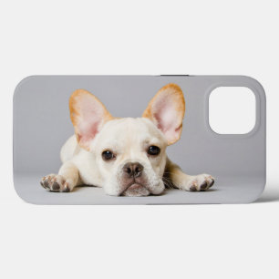 Cutest Baby Animals   French Bulldog Lying Down iPhone 13 Case