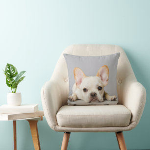 Cutest Baby Animals   French Bulldog Lying Down Cushion