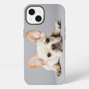 Cutest Baby Animals French Bulldog Lying Down iPhone 13 Case