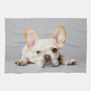 Cutest Baby Animals French Bulldog Lying Down Tea Towel