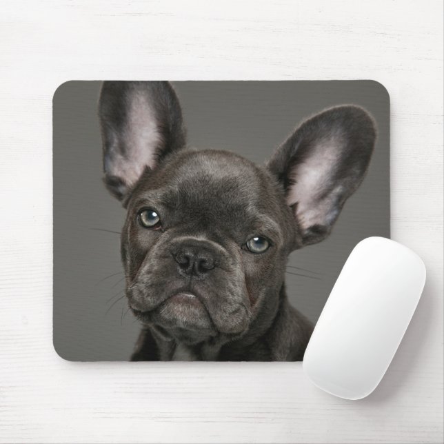 Cutest Baby Animals | French Bulldog Mouse Pad (With Mouse)