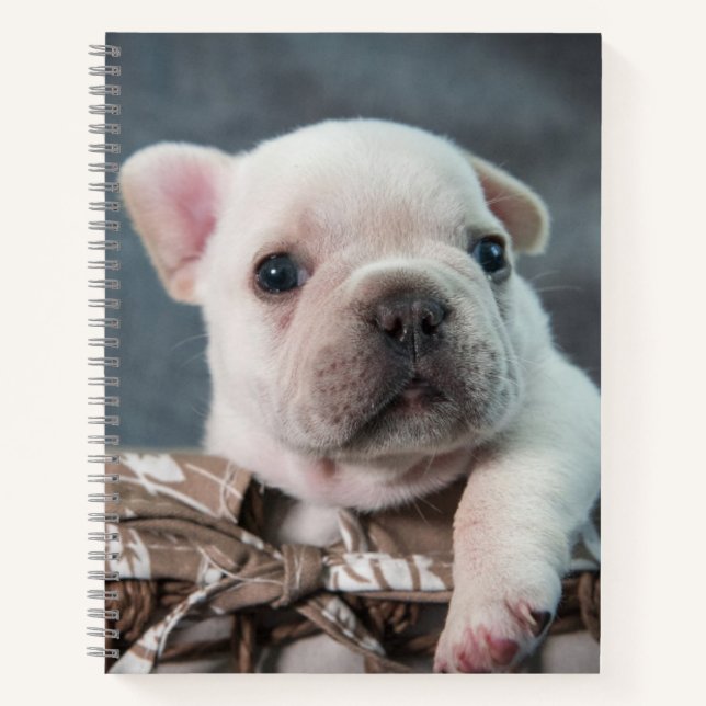 Cutest Baby Animals | French Bulldog Notebook (Front)