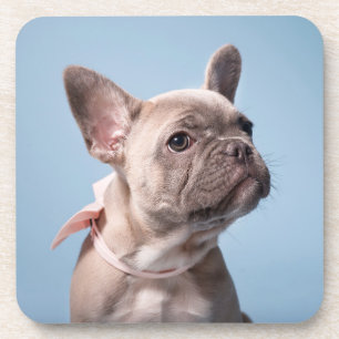 Cutest Baby Animals French Bulldog Pink Bow Coaster