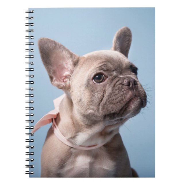 Cutest Baby Animals | French Bulldog Pink Bow Notebook (Front)