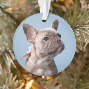 Cutest Baby Animals French Bulldog Pink Bow Ornament
