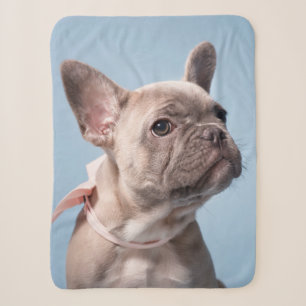 Cutest Baby Animals French Bulldog Pink Bow Sherpa Blanket
