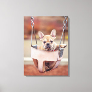 Cutest Baby Animals French Bulldog Playground Canvas Print