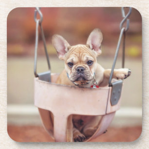 Cutest Baby Animals French Bulldog Playground Coaster