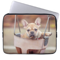 Cutest Baby Animals | French Bulldog Playground