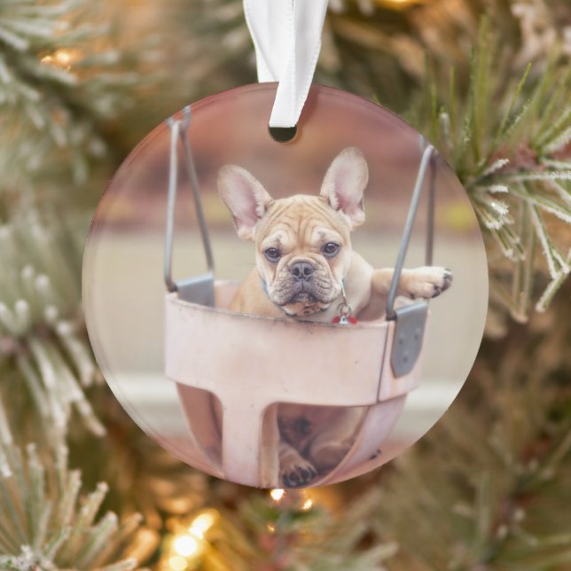 Cutest Baby Animals | French Bulldog Playground Ornament (Tree)