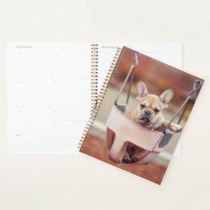 Cutest Baby Animals   French Bulldog Playground Planner