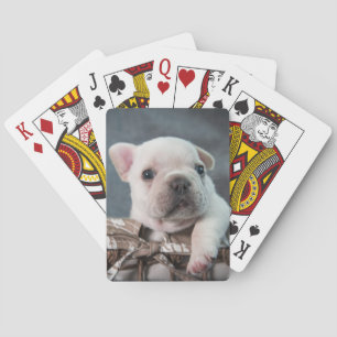 Cutest Baby Animals French Bulldog Playing Cards