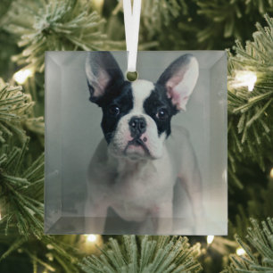 Cutest Baby Animals French Bulldog Puppy Glass Tree Decoration