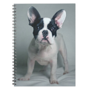 Cutest Baby Animals   French Bulldog Puppy Notebook