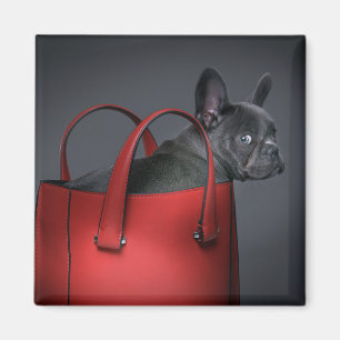 Cutest Baby Animals French Bulldog Red Hand Bag Magnet