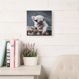 Cutest Baby Animals French Bulldog Square Wall Clock