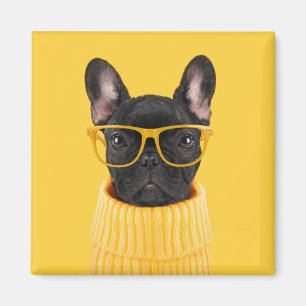 Cutest Baby Animals   French Bulldog Sunglasses Magnet