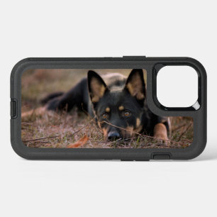 Cutest Baby Animals   German Shepherd Puppy