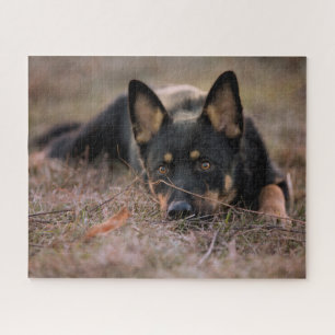 Cutest Baby Animals   German Shepherd Puppy Jigsaw Puzzle