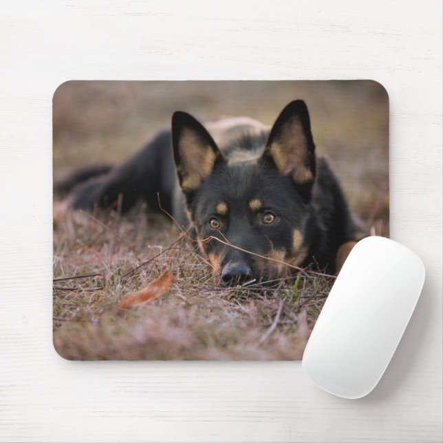 Cutest Baby Animals | German Shepherd Puppy Mouse Pad (With Mouse)