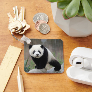 Cutest Baby Animals   Giant Panda Baby Key Ring