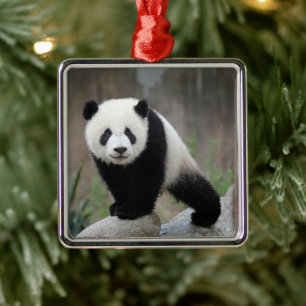 Cutest Baby Animals   Giant Panda Baby Metal Tree Decoration