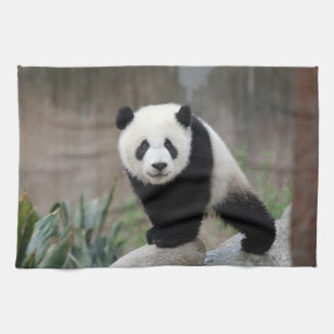 Cutest Baby Animals Giant Panda Baby Tea Towel