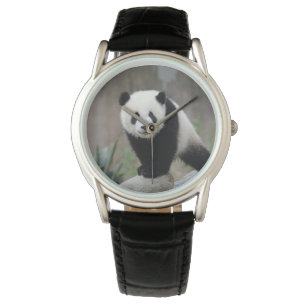 Cutest Baby Animals   Giant Panda Baby Watch