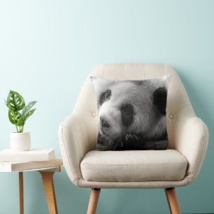 Cutest Baby Animals   Giant Panda Bear Cub Cushion