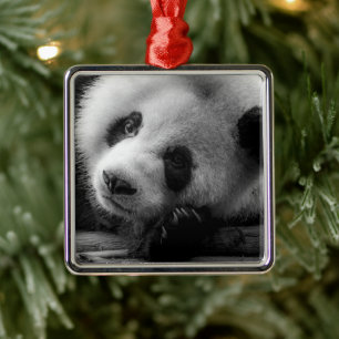 Cutest Baby Animals   Giant Panda Bear Cub Metal Tree Decoration
