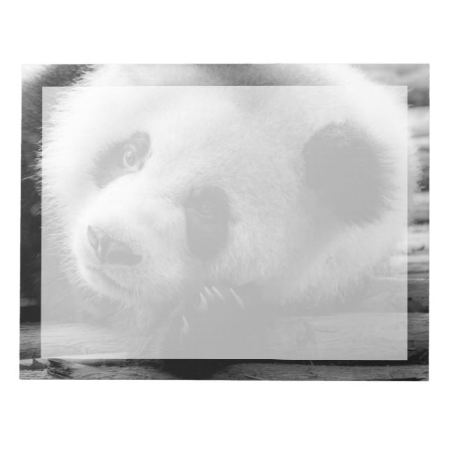 Cutest Baby Animals | Giant Panda Bear Cub Notepad (Front)