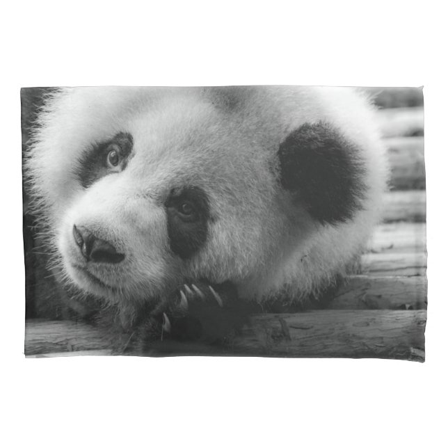 Cutest Baby Animals | Giant Panda Bear Cub Pillowcase (Front)