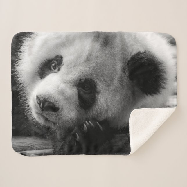Cutest Baby Animals | Giant Panda Bear Cub Sherpa Blanket (Front (Horizontal))