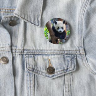 Cutest Baby Animals   Giant Panda Cub 6 Cm Round Badge