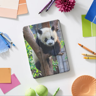 Cutest Baby Animals   Giant Panda Cub iPad Air Cover