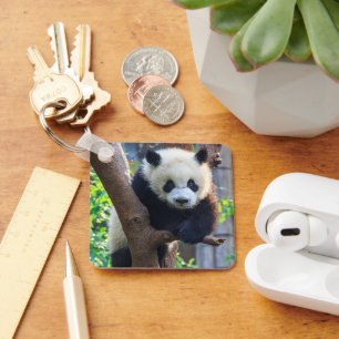 Cutest Baby Animals   Giant Panda Cub Key Ring